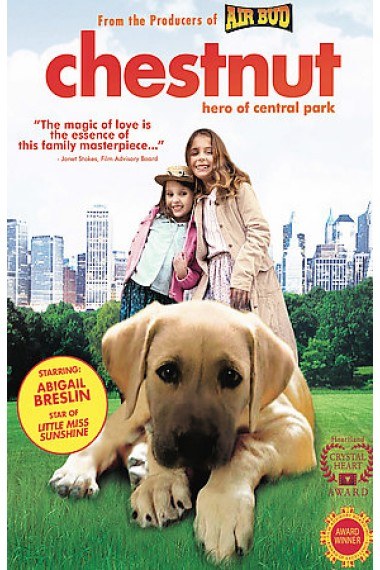 无名战士在线观看影视海报