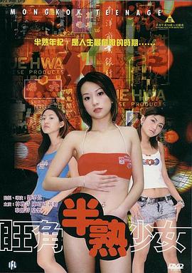 真假公主动画片影视海报