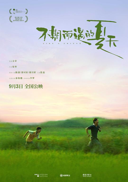 宠物小精灵之太阳之光影视海报