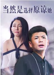 霹雳火演员表影视海报