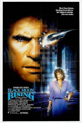 少帅免费在线观看影视海报