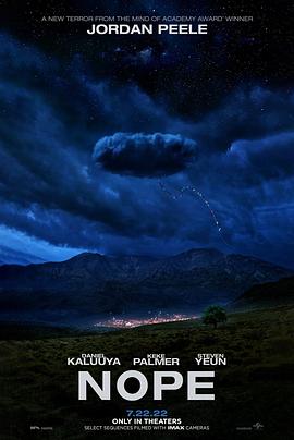 慈禧野史小说影视海报