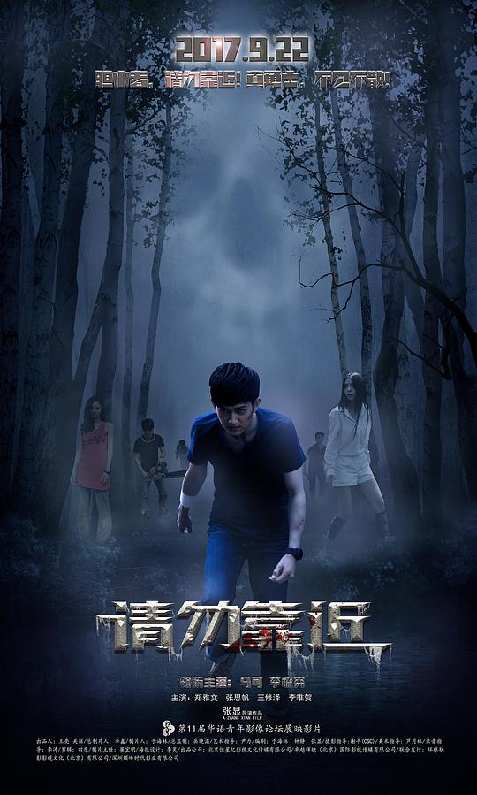 大丫鬟电视剧影视海报