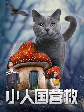 我哥哥的女朋友影视海报