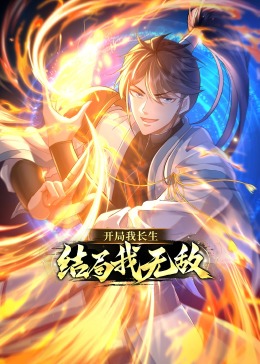 少傅白杰影视海报