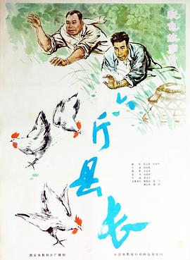 麻花影视ipad影视海报