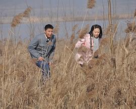 青娱乐视频品视觉盛宴2018影视海报