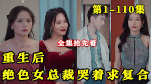 透视兵王项少龙影视海报