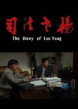 电视剧荡寇完整观看影视海报