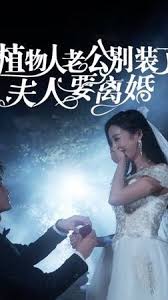 寡妇村的疯狂风流小说影视海报