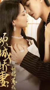 天降之吻影视海报