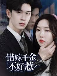 皇军导航影视海报