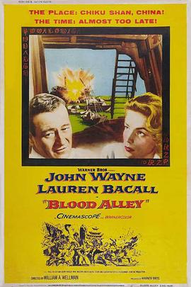 将军在上之时空恋人小说影视海报