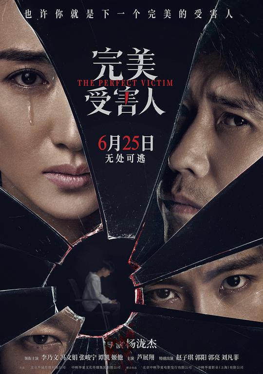 豫剧刘墉下南京1一10集影视海报