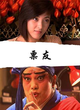 旅行的花样影视海报