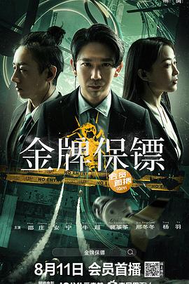 星河战队入侵影视海报