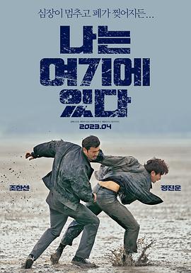 痞子英雄电视剧在线观看影视海报