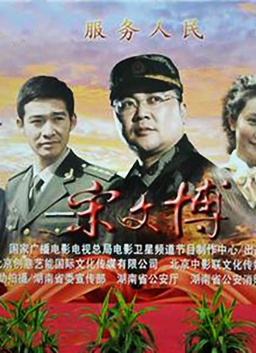 鹈鹕的故事影视海报