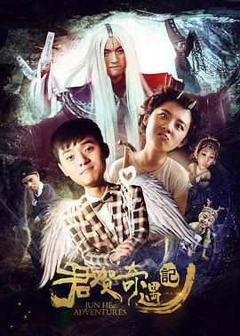 林冰女刑警队长沉沦影视海报