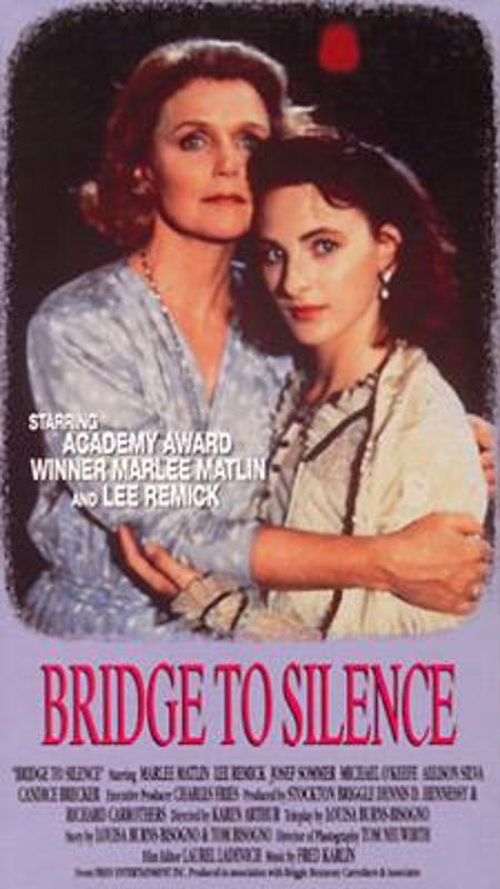 风之恋影视海报