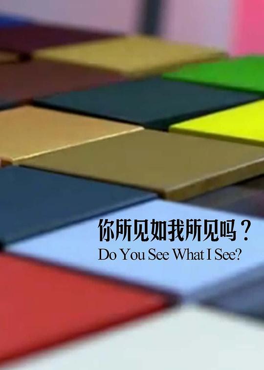 外国黄页大全视频大全影视海报