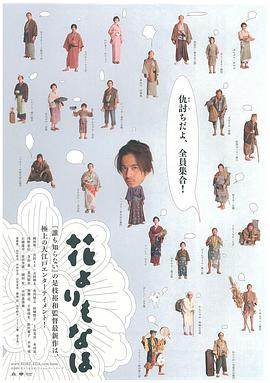 一个女婿半个儿完整版影视海报