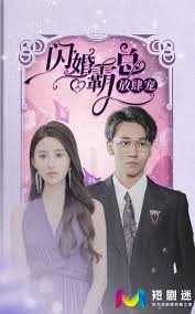 宇宙铁人天地双龙影视海报