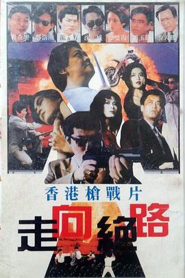 妻子的情人韩剧国语版影视海报