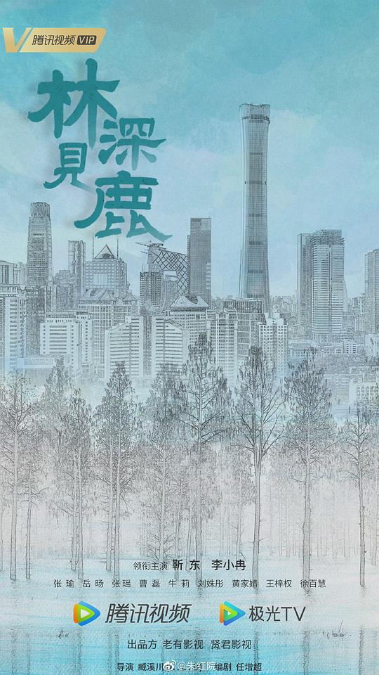 若菜奈央最放荡的一部影视海报