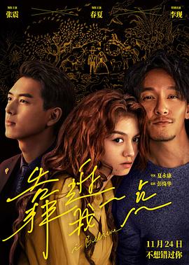 学校2017电视剧影视海报