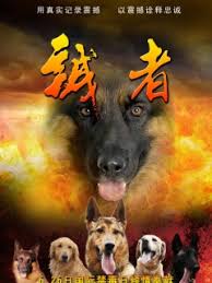 傲世丹神女主角简介影视海报