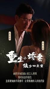 晨阳百度云影视海报