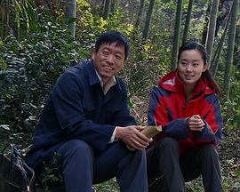 调音师剧情解析影视海报