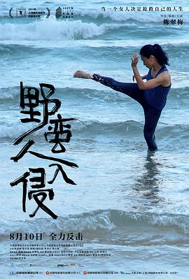 佣兵天下txt下载完本影视海报