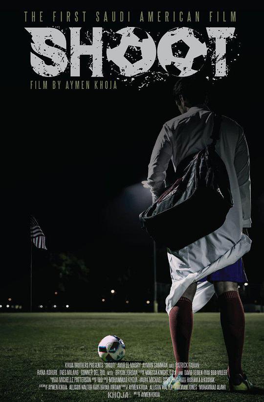 深宫蝶影影视海报