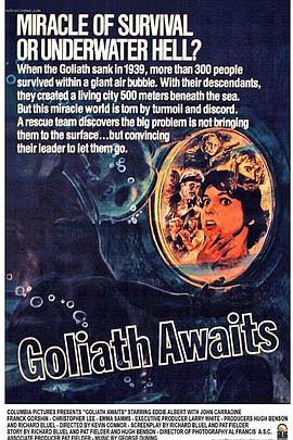 胜者为王2国语版全集影视海报