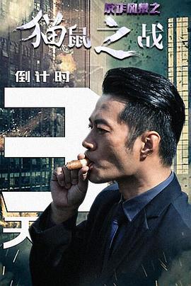 美景之屋完整版影视海报