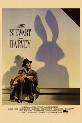 骑士与魔法影视海报