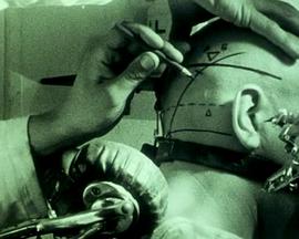 小天风流记全文txt影视海报