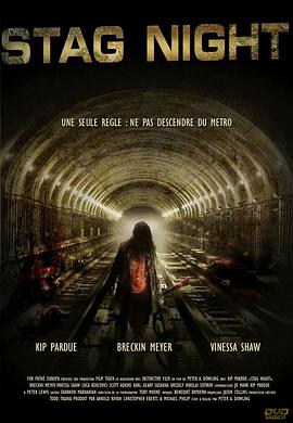 蝙蝠侠2影视海报