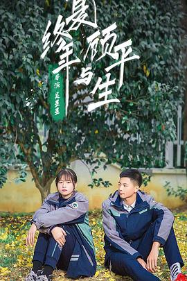 生旦净末你影视海报