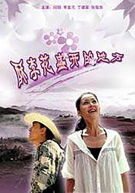 一半海水一半火焰电影影视海报