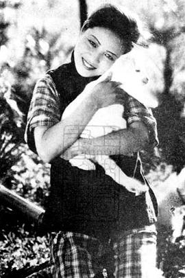 极光之恋电视剧影视海报