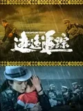 隋唐演义2013版影视海报