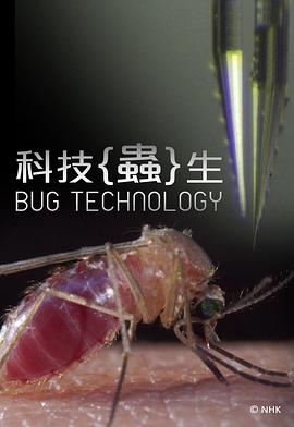 扶摇免费观看网址影视海报