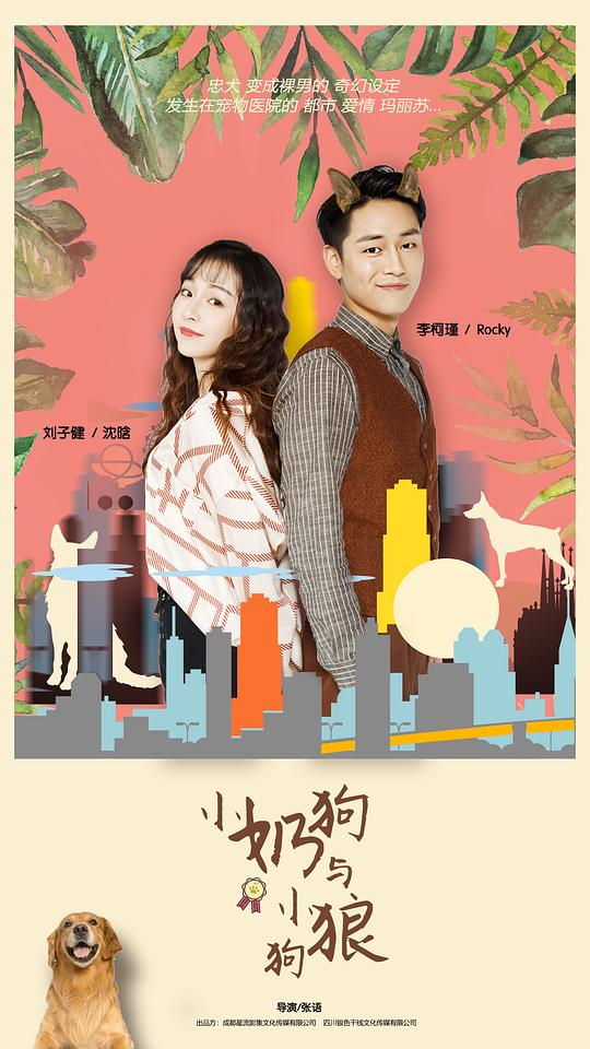 倾城时光电视剧免费西瓜影视海报