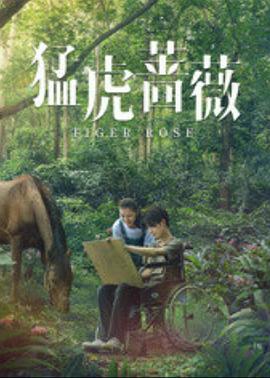 将军请出征小说影视海报