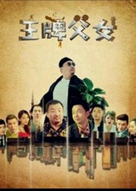 公务员的沉沦高洁全集影视海报