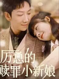 花间提壶大厨 免费观看影视海报