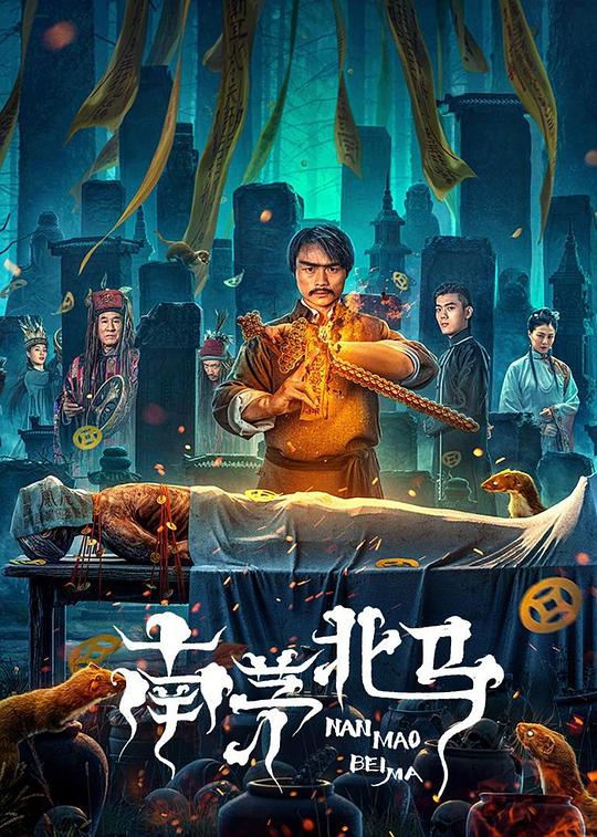 僵尸2013钱小豪完整版影视海报